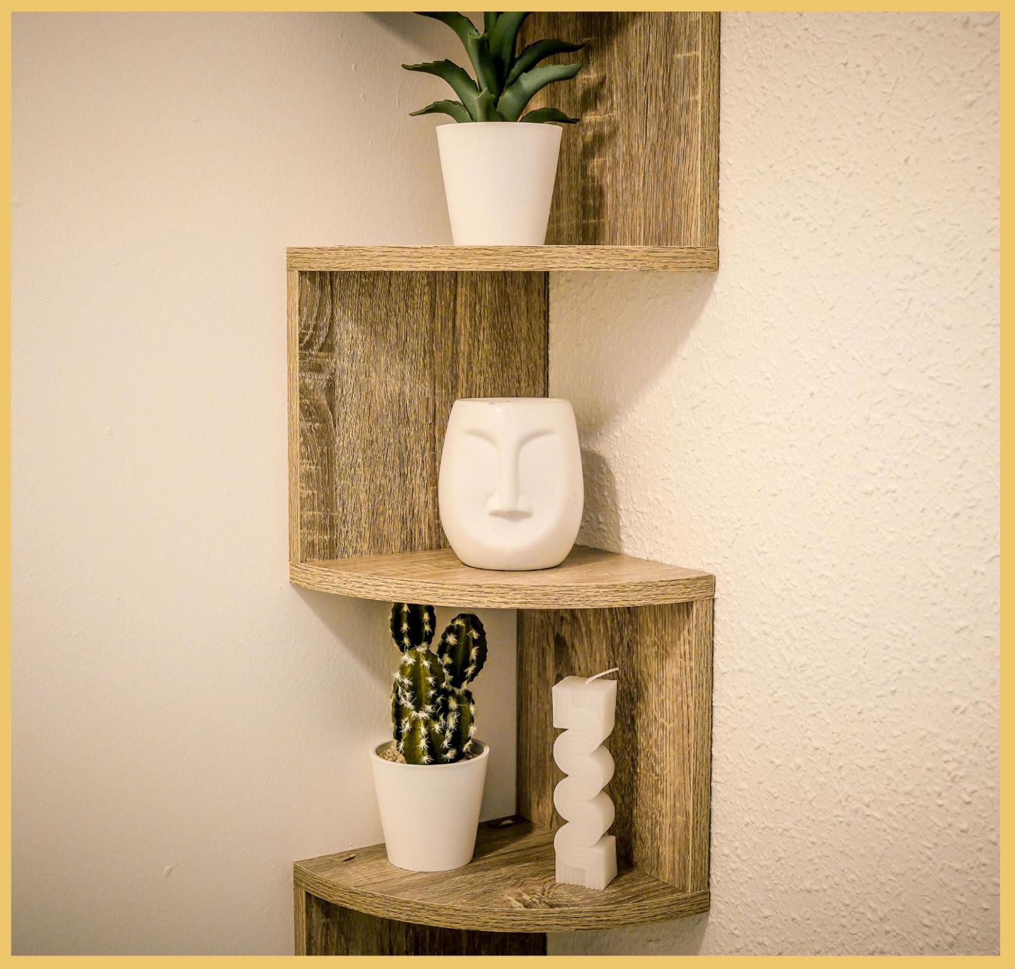 Le Paradis Tropical Appartement Scionzier